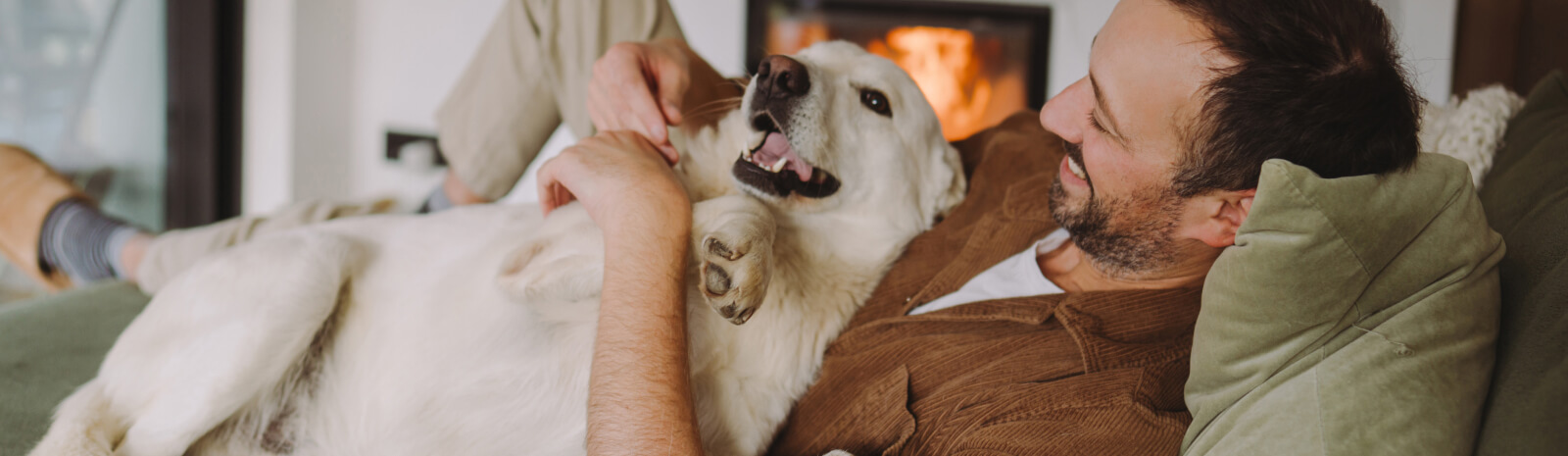 Owner and pet enjoying together by the fireplace