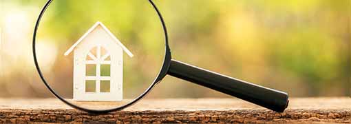House Hunting